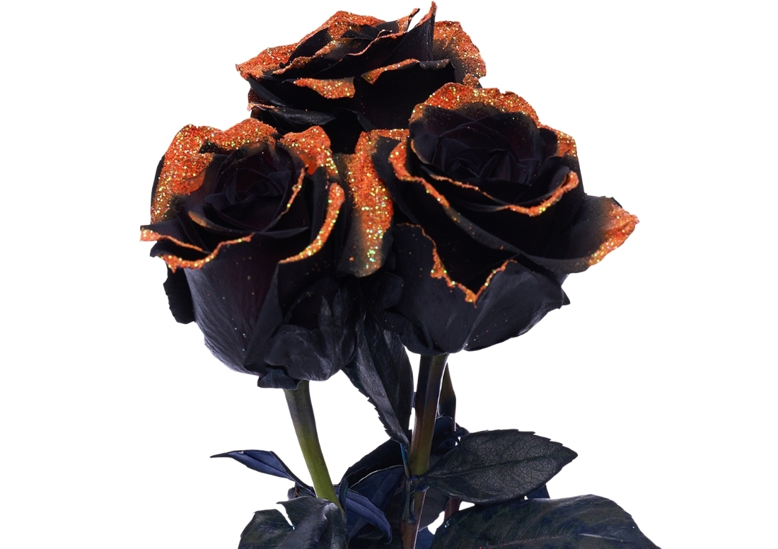 Pumpkin Night stems1