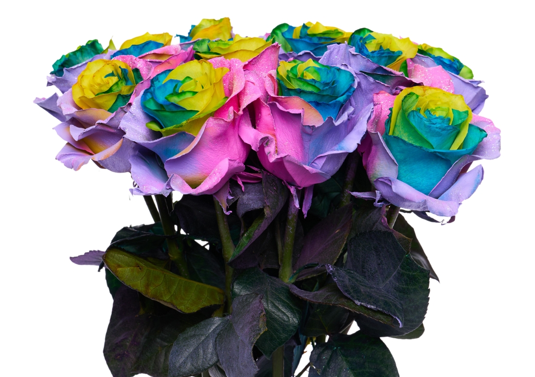 Rainbow Candy bunch1