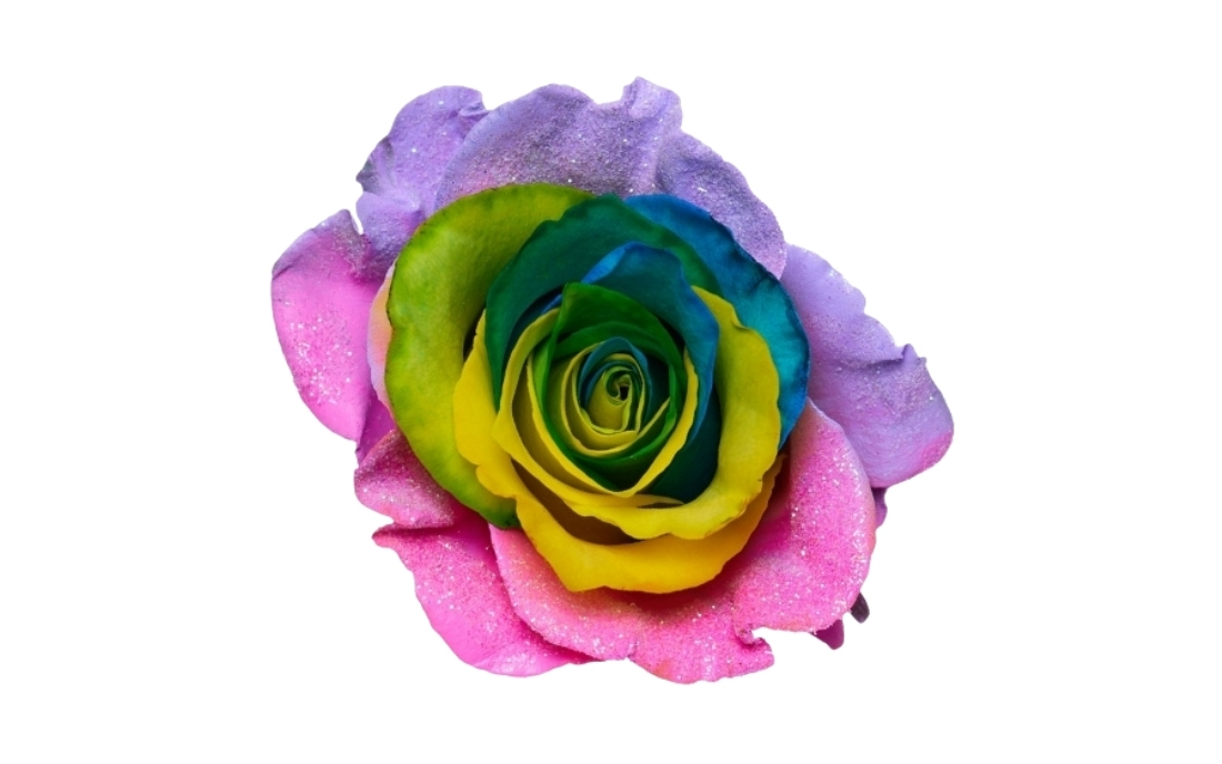 Rainbow Candy bunch1