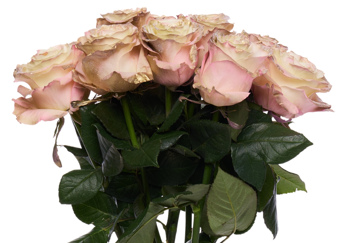 Shiny Gold Pink bunch1