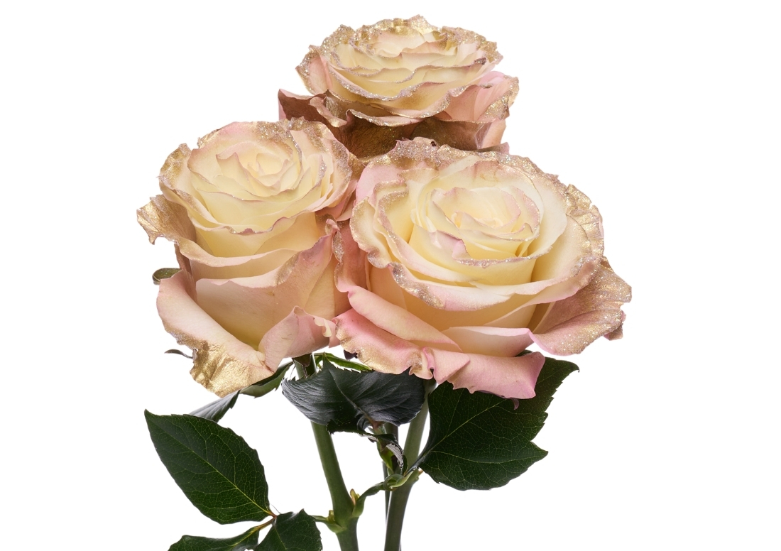 Shiny Gold Pink stems1