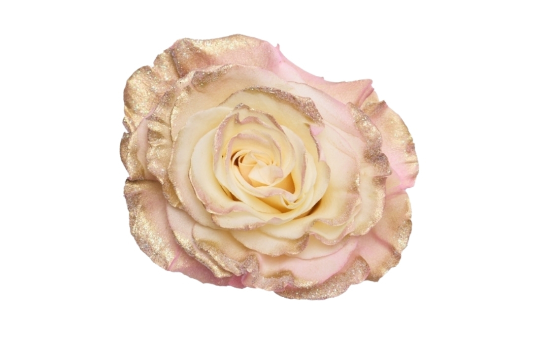 Shiny Gold Pink bunch1