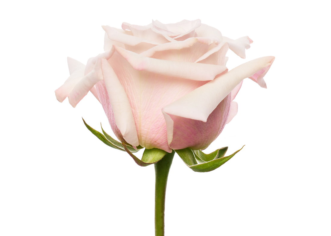 Silver-Sand_2-1100x776