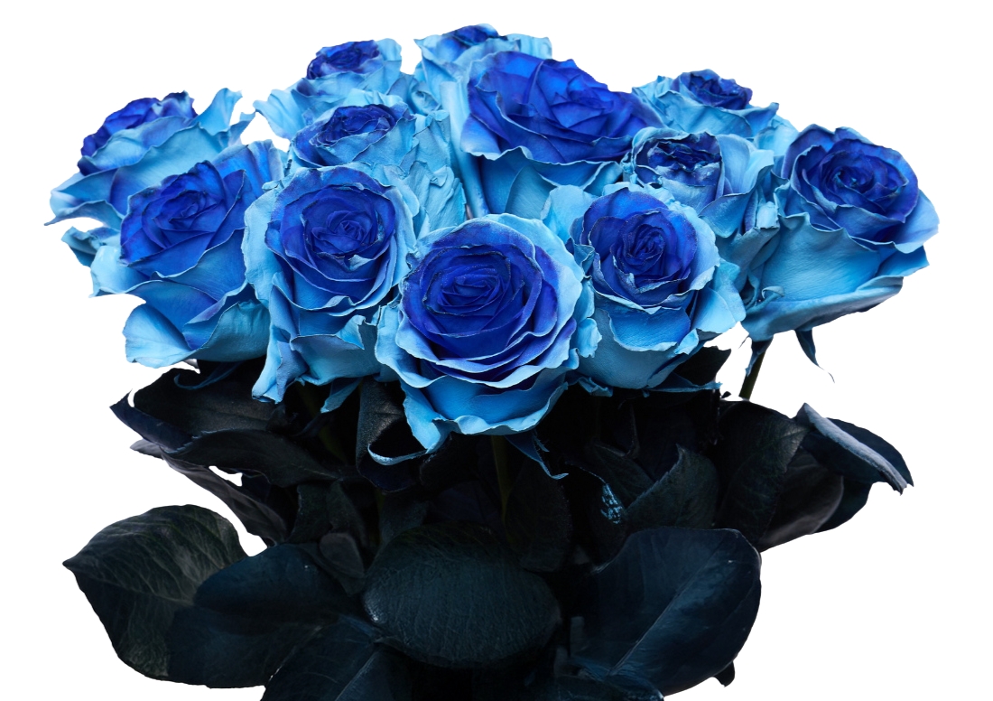 Whisper Soul Blue bunch