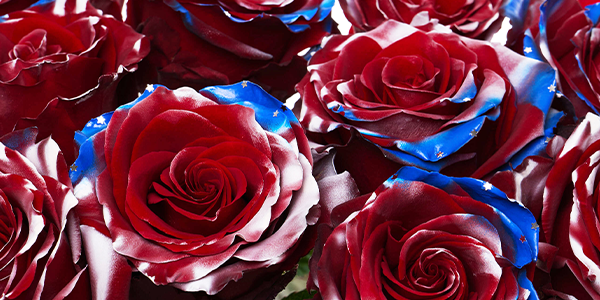 A vibrant arrangement of red and blue roses, symbolizing Fourth of July celebrations.