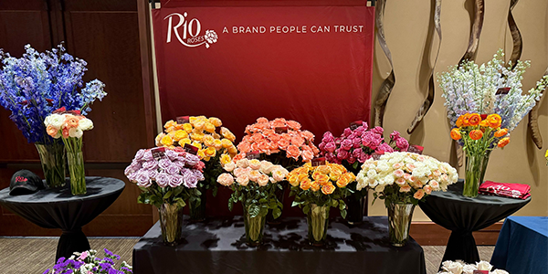 New Varieties at SAF Phoenix 2025