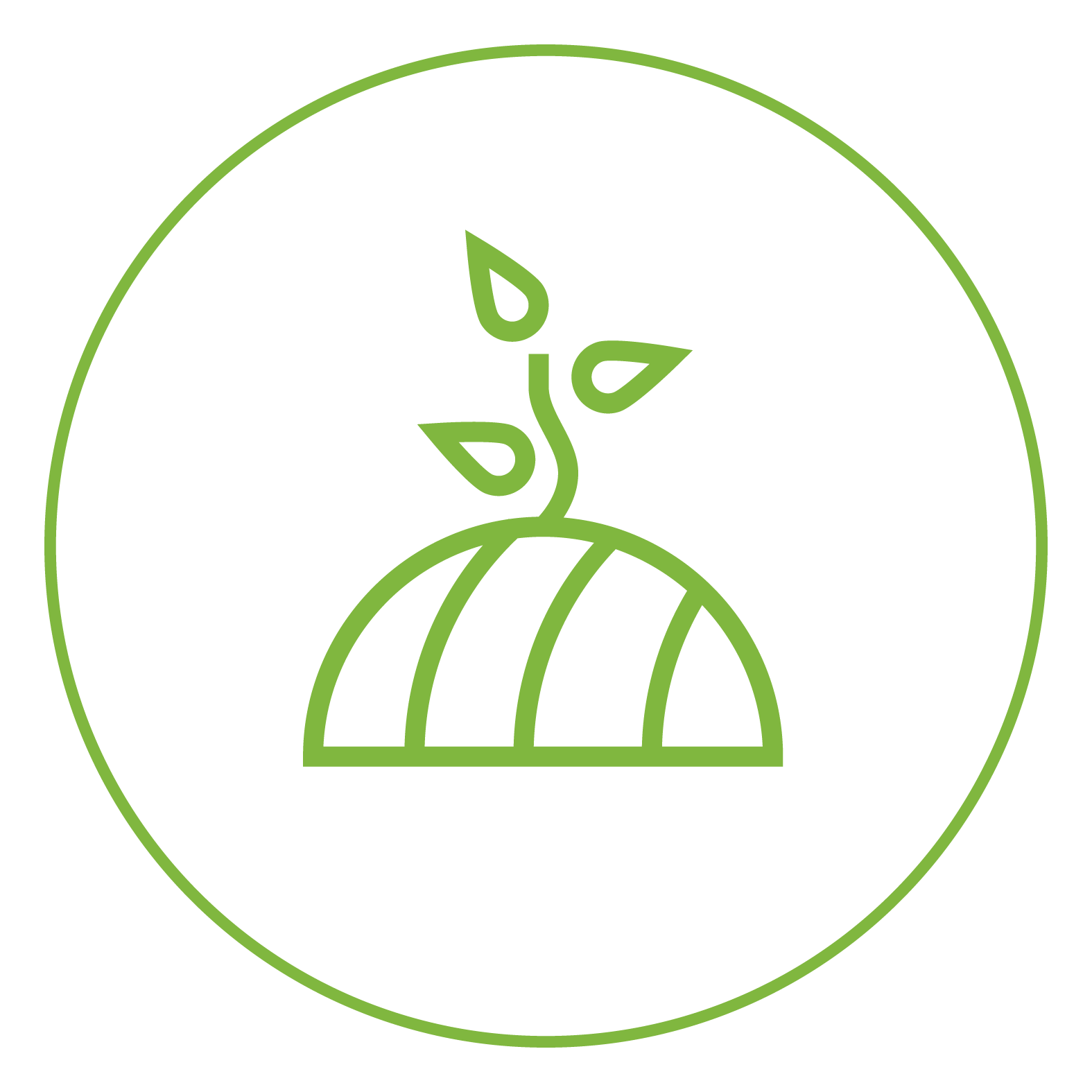 Sustainable Practices